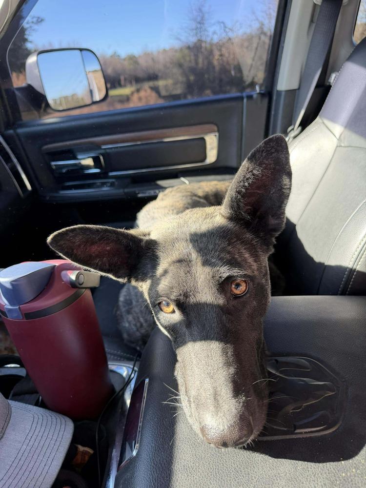 Rugrats Momma Didi Located thumbnail 2