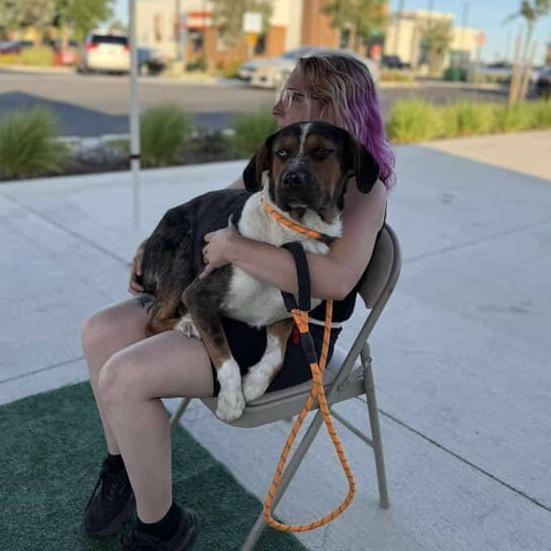 Enlarge Newt, a Adoptable mixed breed in Newberg, OR image 5/6