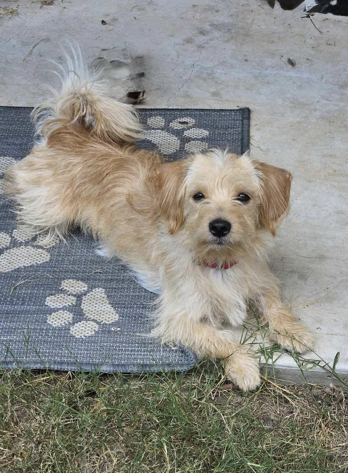 Antonio (20251129-02)