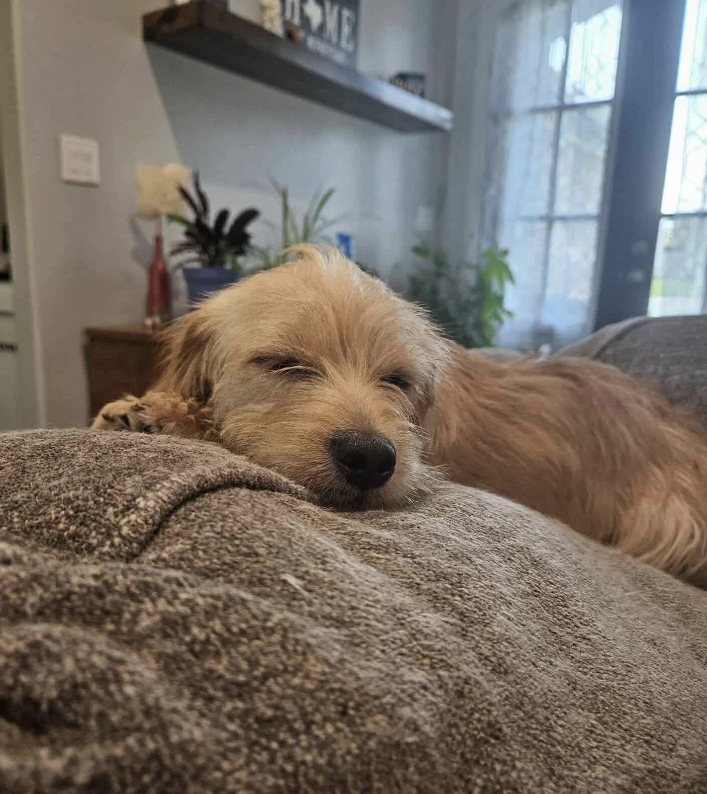 Antonio (20251129-02) — thumbnail 2