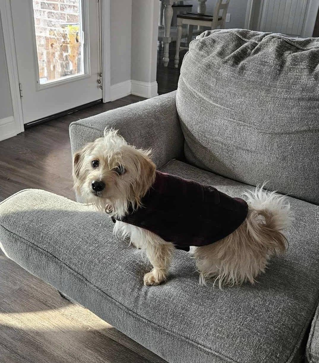 Antonio (20251129-02) — thumbnail 3