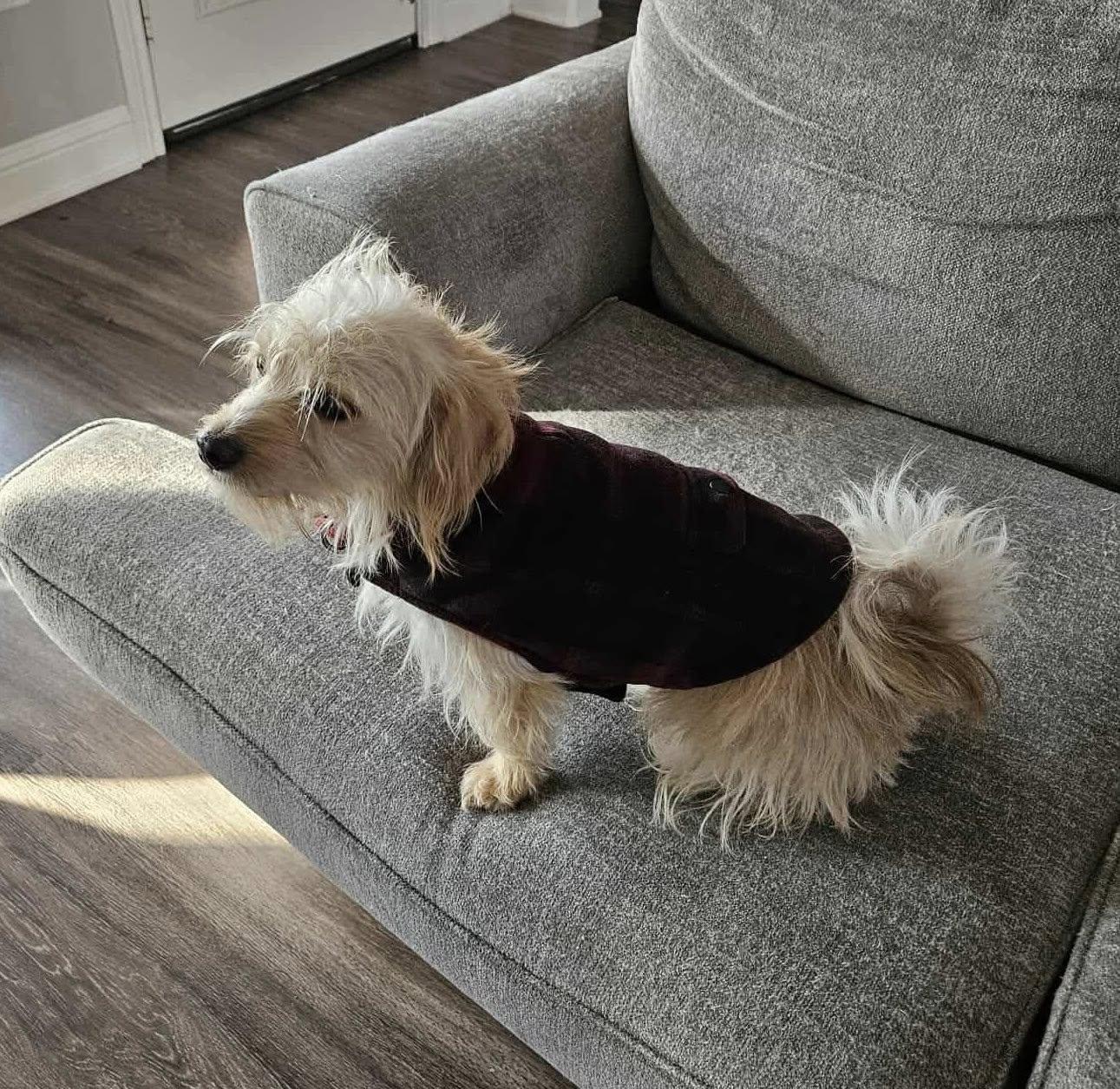 Antonio (20251129-02) — thumbnail 5