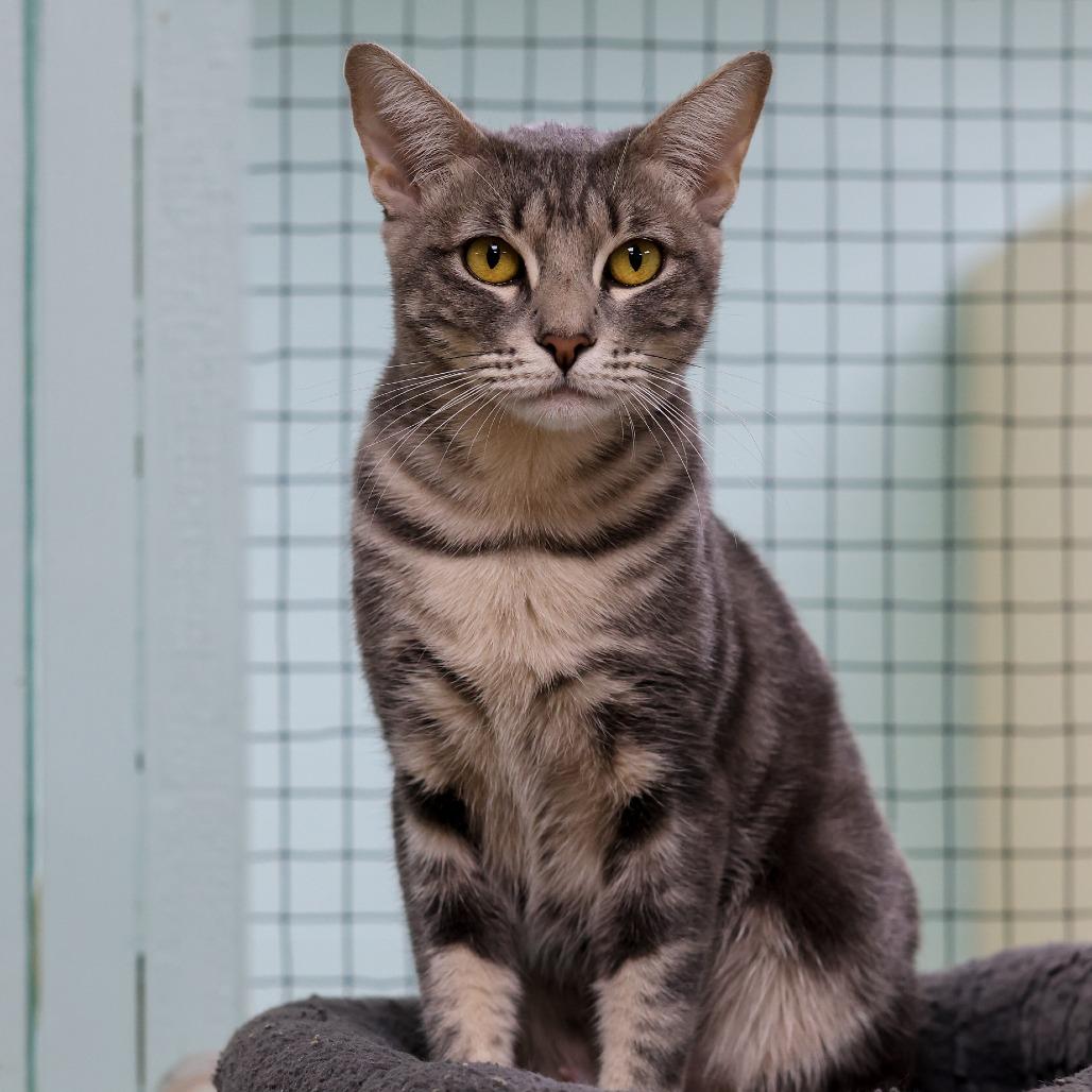 Sandra — thumbnail 2