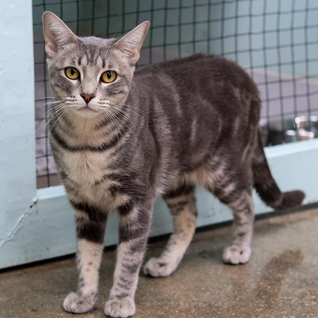 Sandra — thumbnail 3