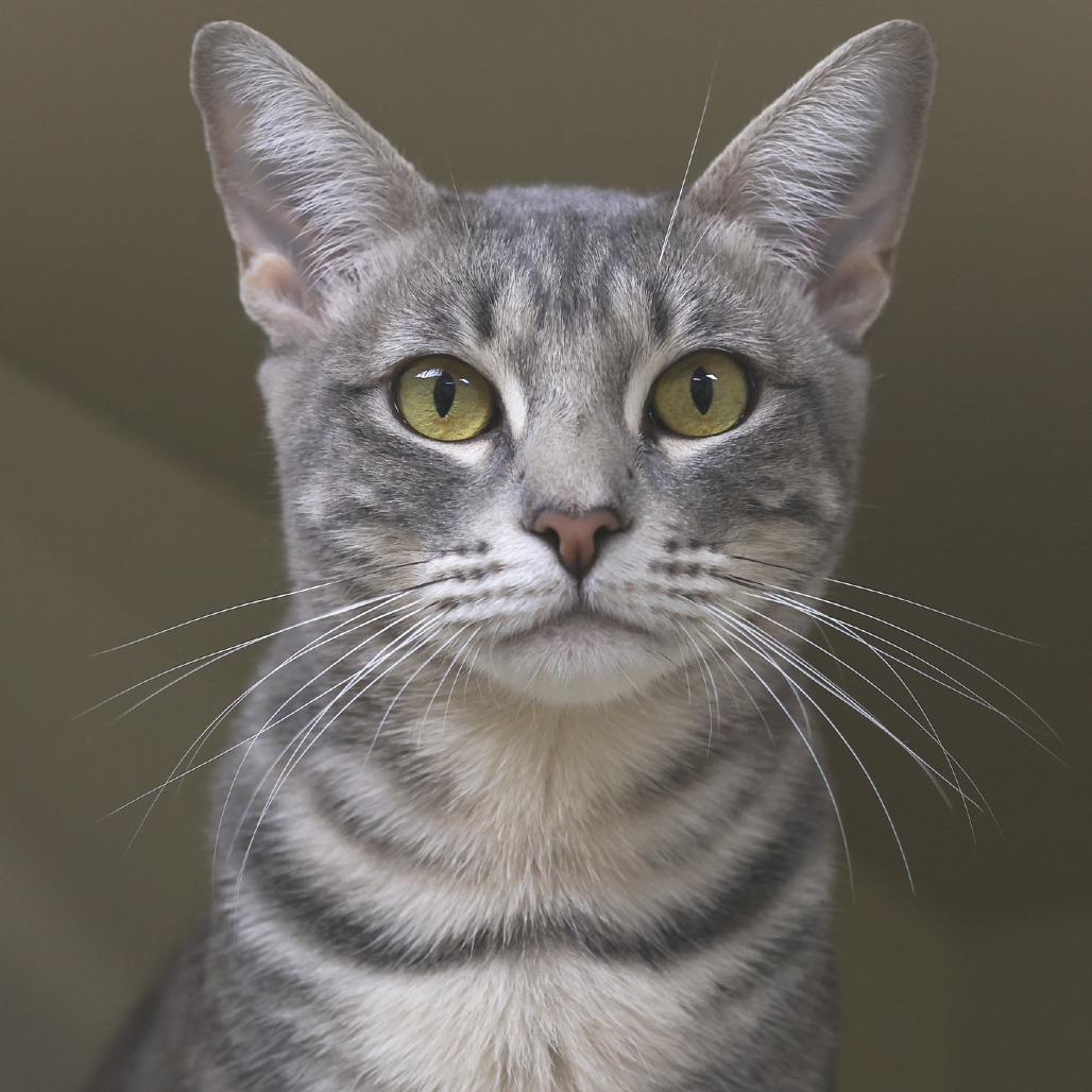 Sandra — thumbnail 4