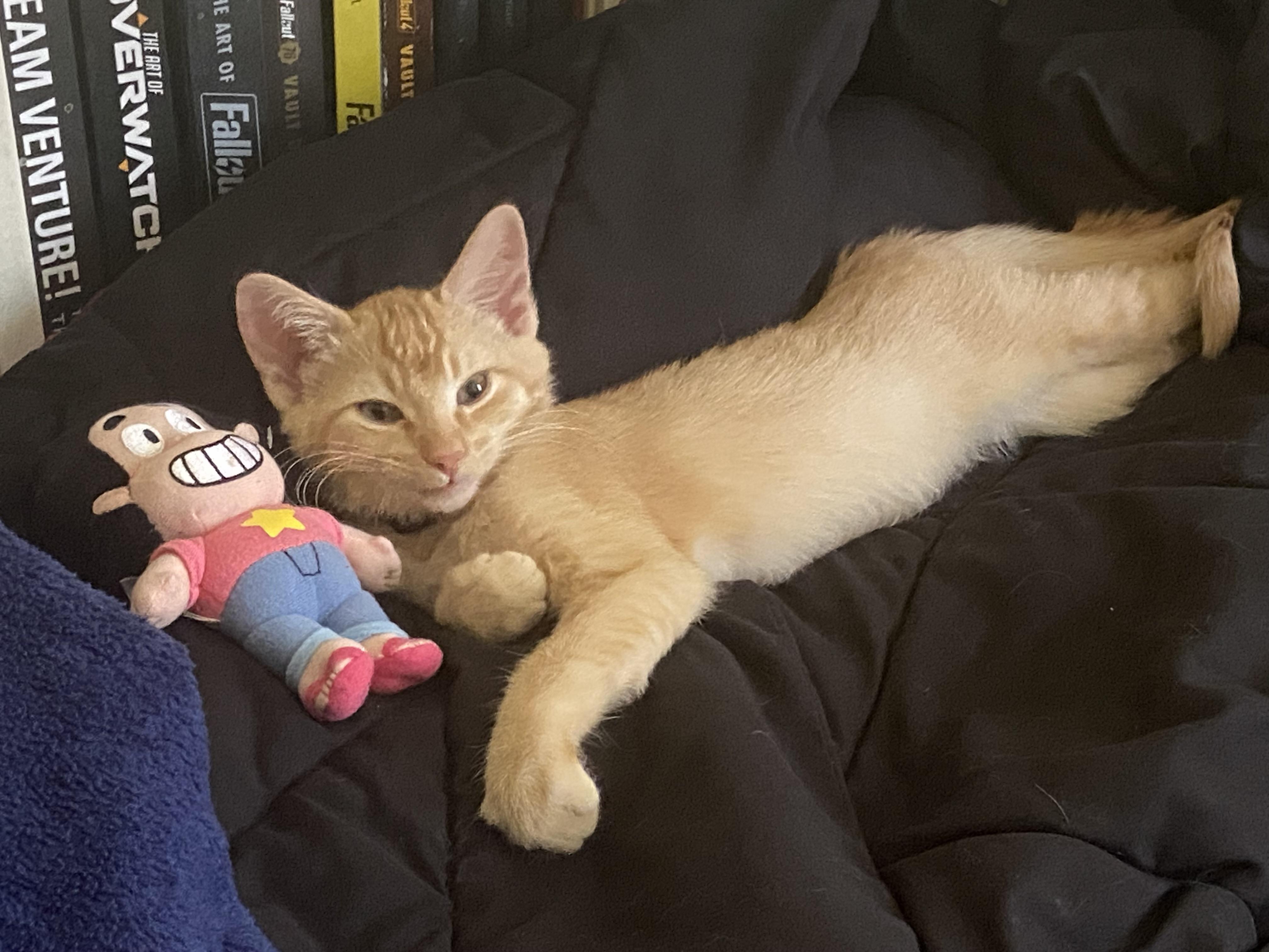 Remus, Baby Male unknown