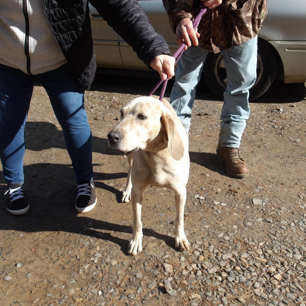 Cream — thumbnail 2