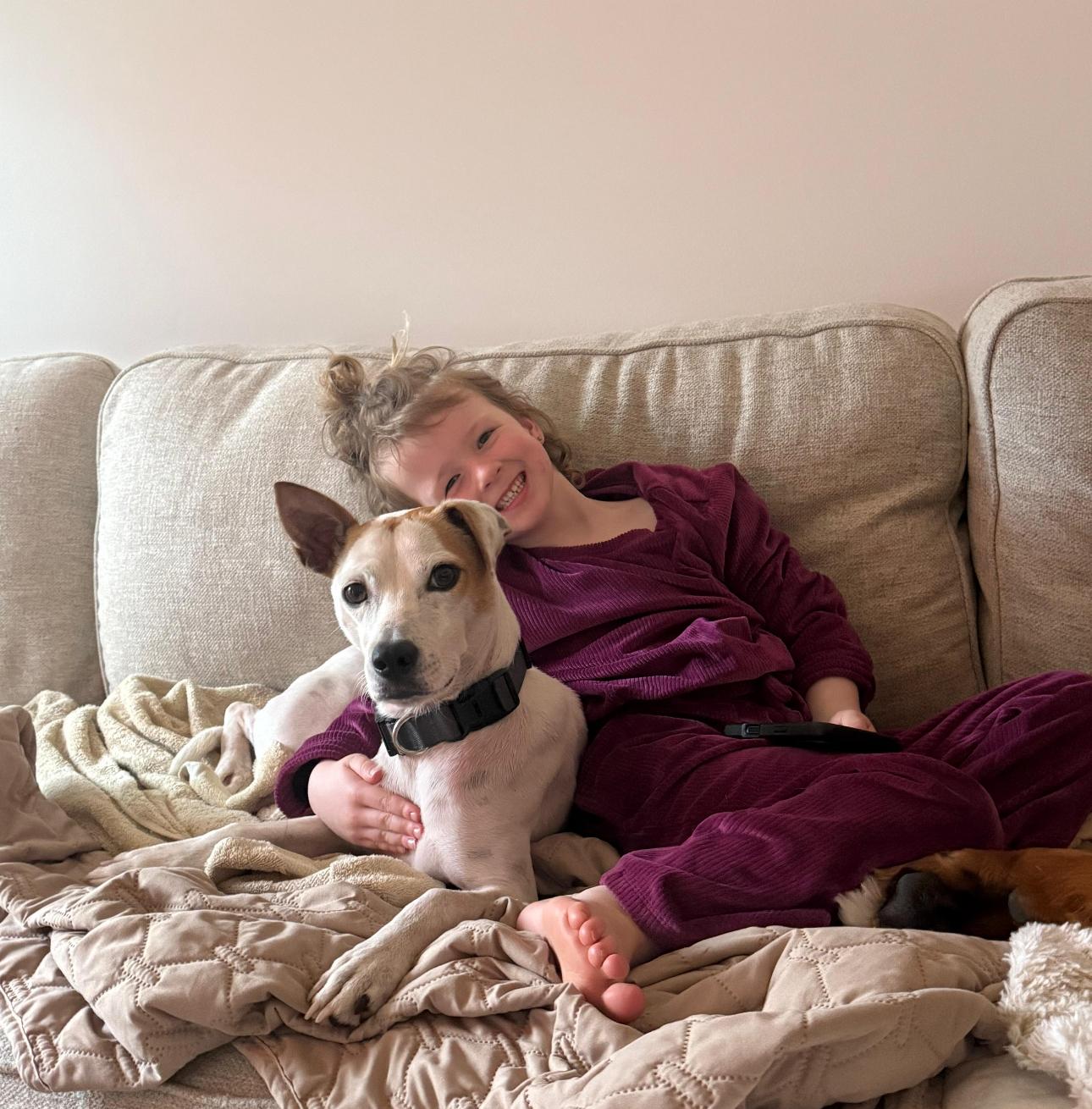 Enlarge MILO - great with kids!, an adoptable mixed breed in Edgewater, MD image 5/6