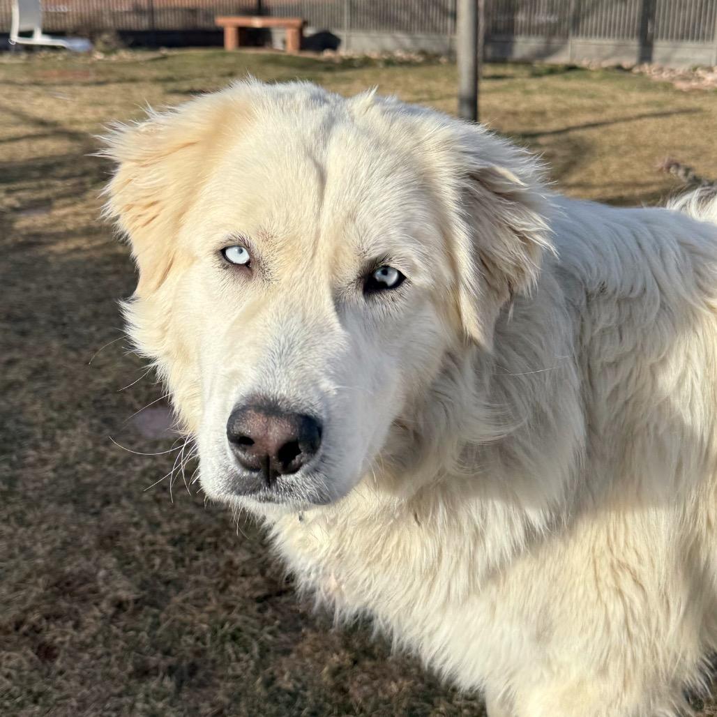 Hartford — thumbnail 2