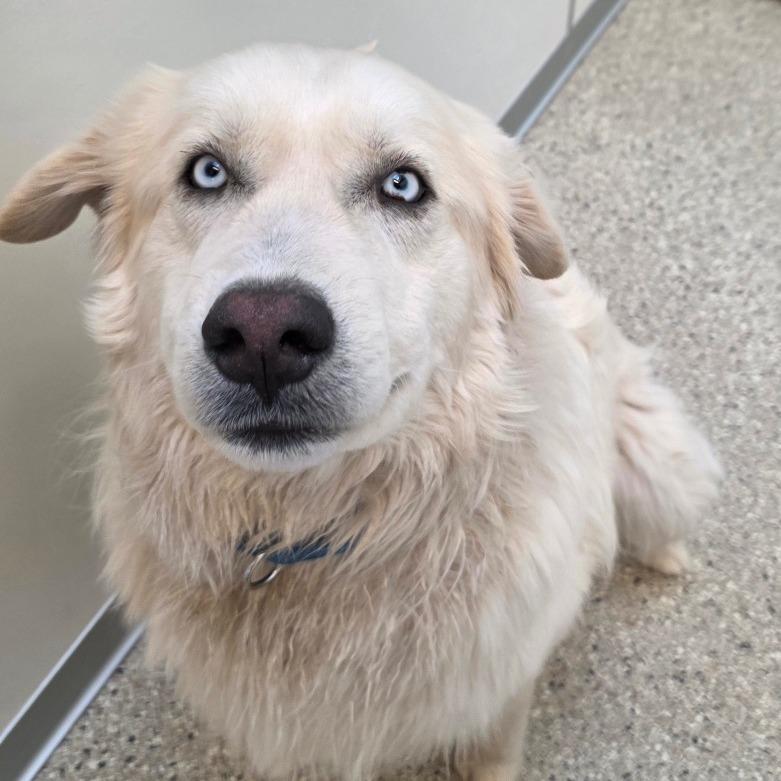 Hartford — thumbnail 3