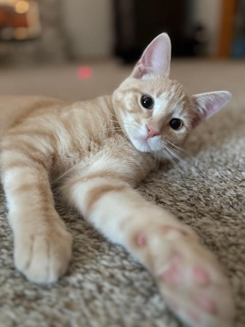 Huey
