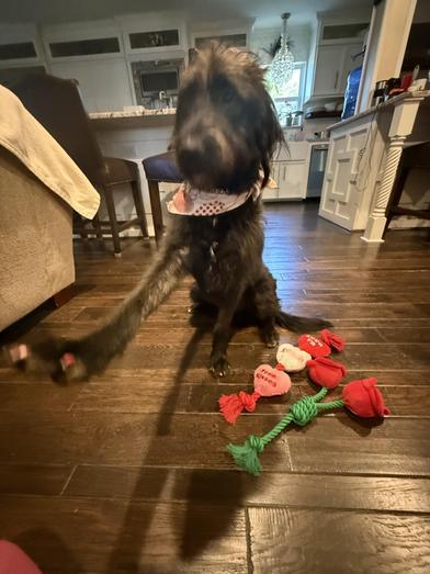 Daisy — thumbnail 2