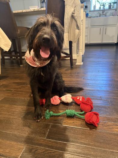 Daisy — thumbnail 4