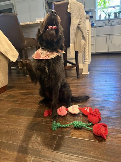 Daisy — thumbnail 6