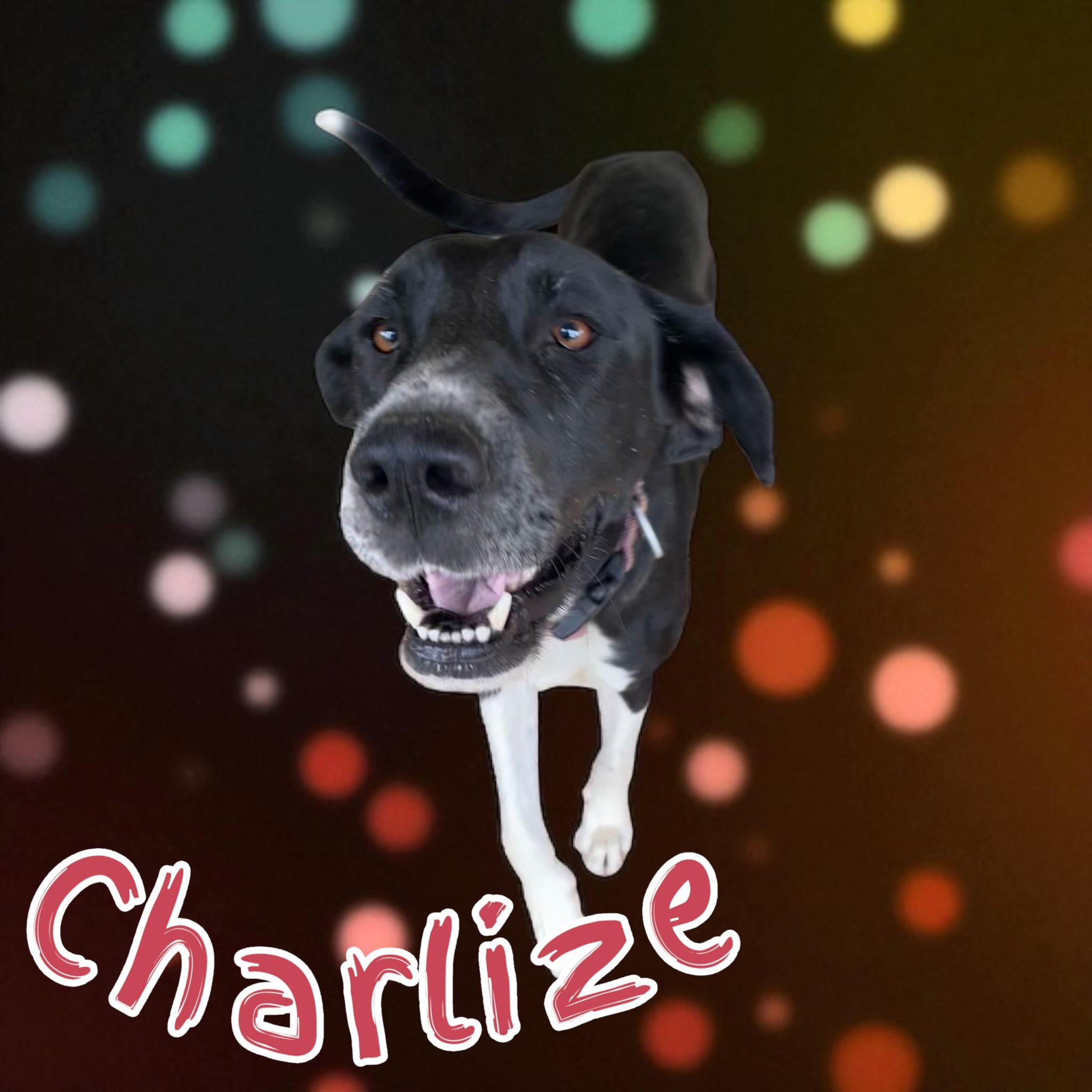 Charlize