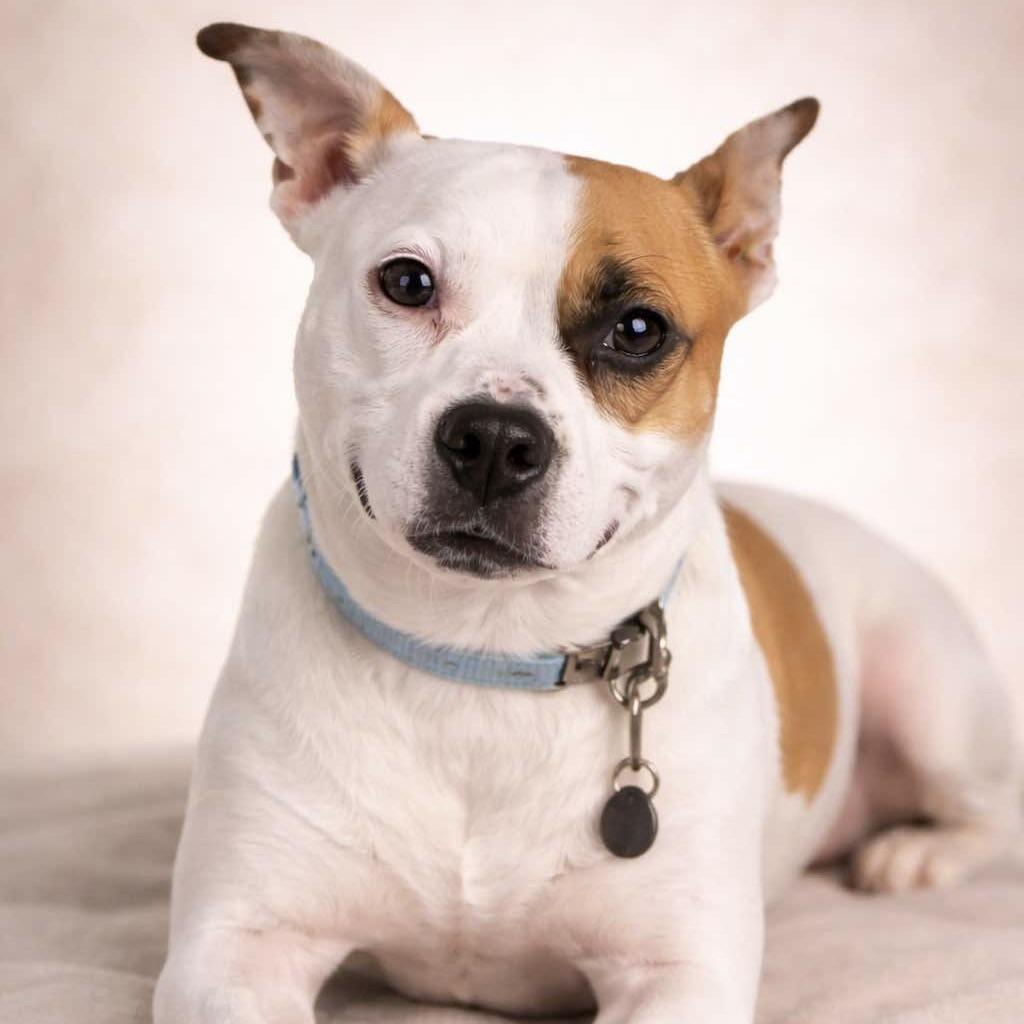 Roxy (20250317-01) — thumbnail 6