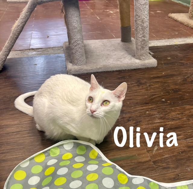 Olivia