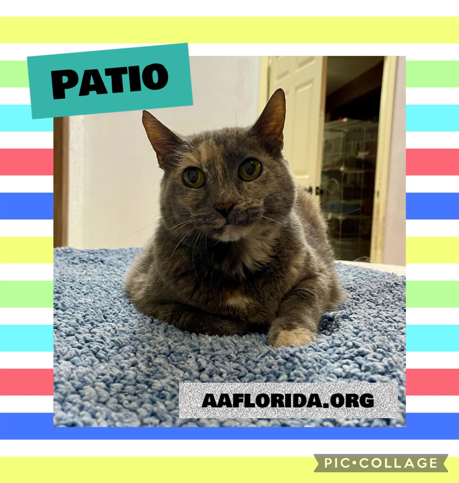 Patio Cyd thumbnail 3