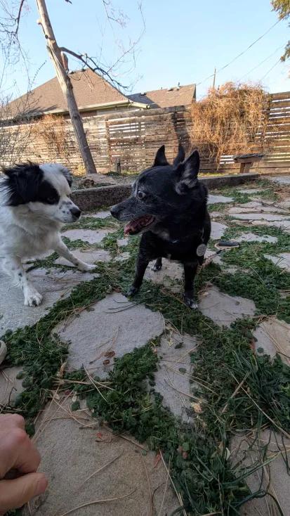 Krista — thumbnail 2