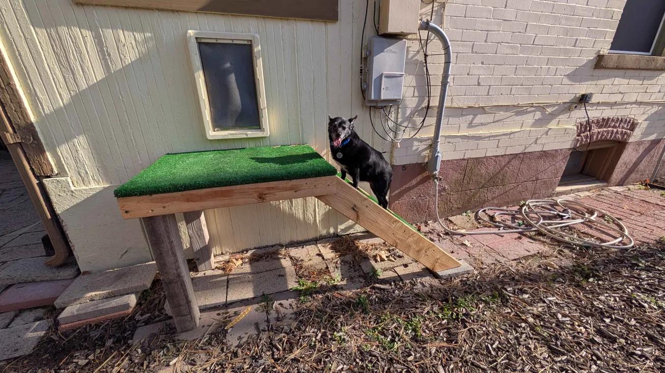 Enlarge Krista, a ADOPTABLE mixed breed in Roy, UT image 3/6