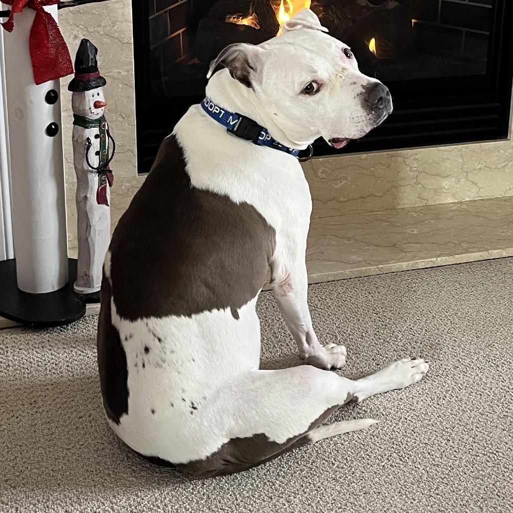 Pearl — thumbnail 4