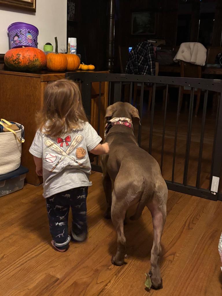 Brownie, a Adoptable mixed breed in Hartsville, SC image 4/5