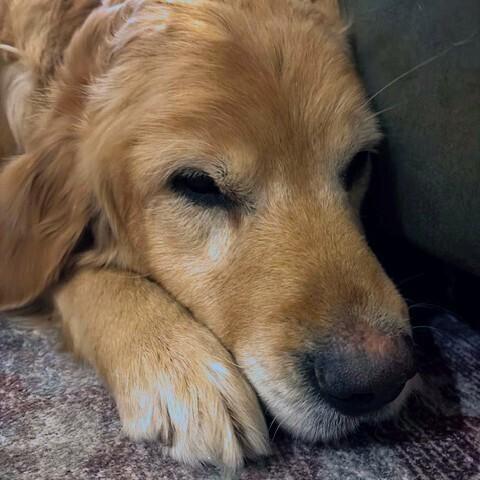 Little Girl thumbnail 2