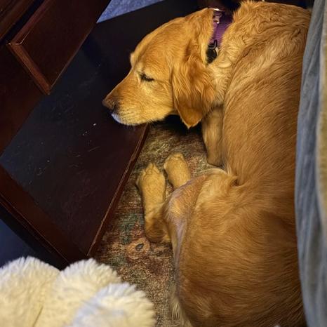 Little Girl thumbnail 3