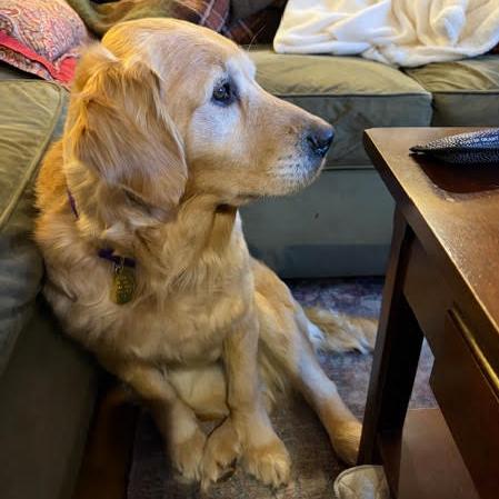 Little Girl thumbnail 6