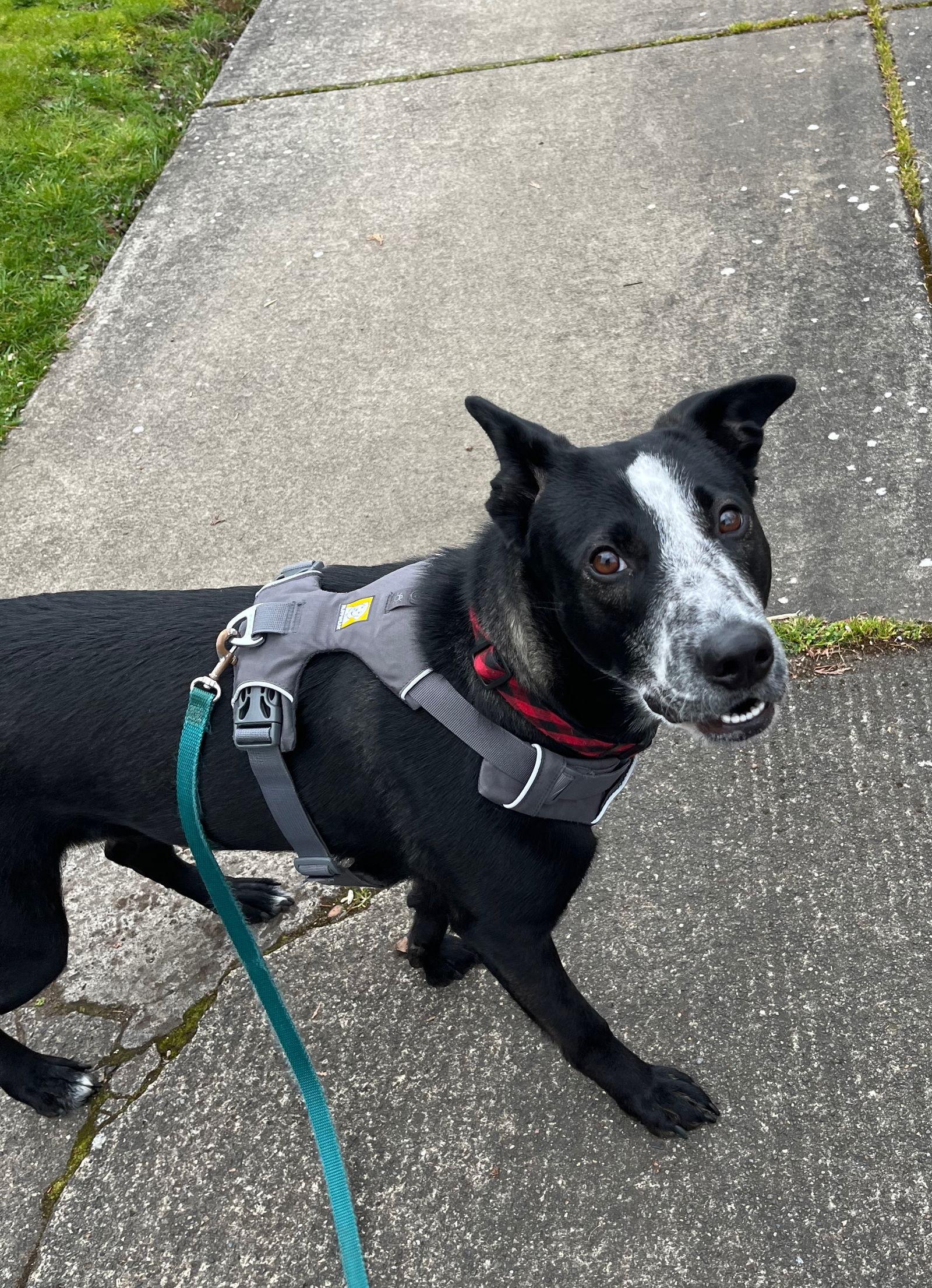 Winnie — thumbnail 2