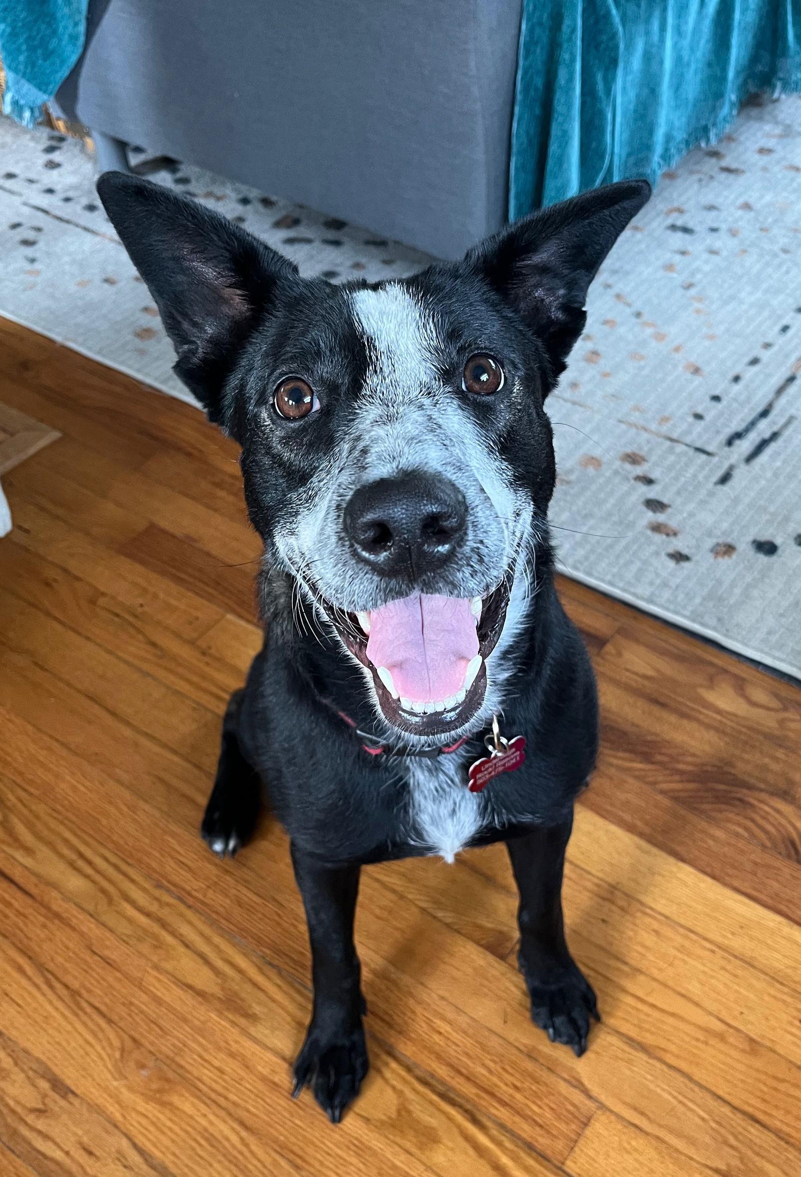 Winnie — thumbnail 3