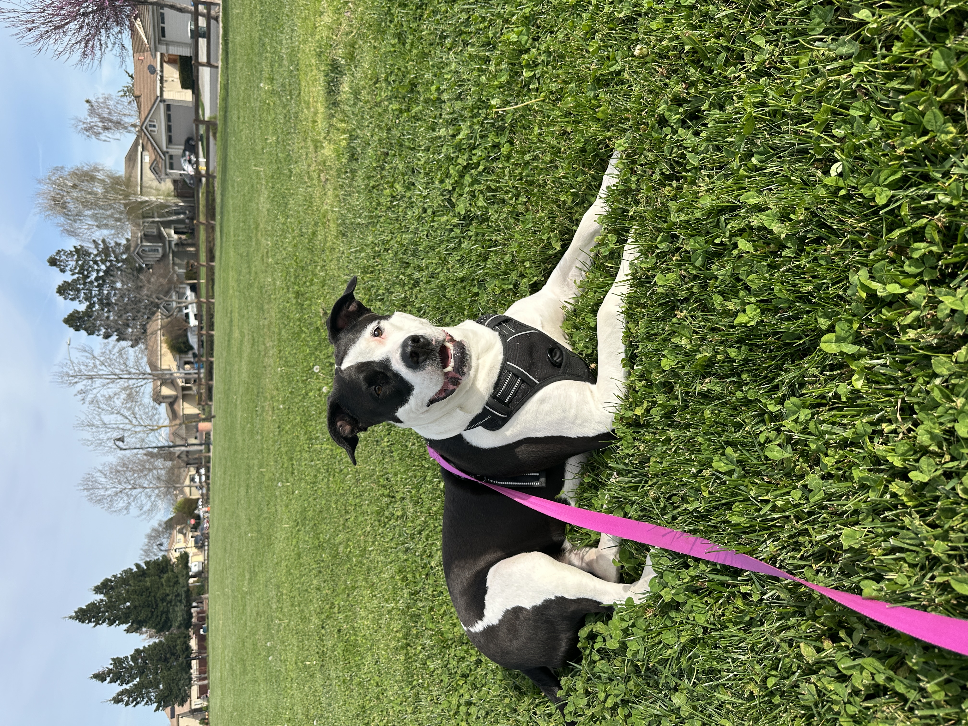 DARLA photo 6