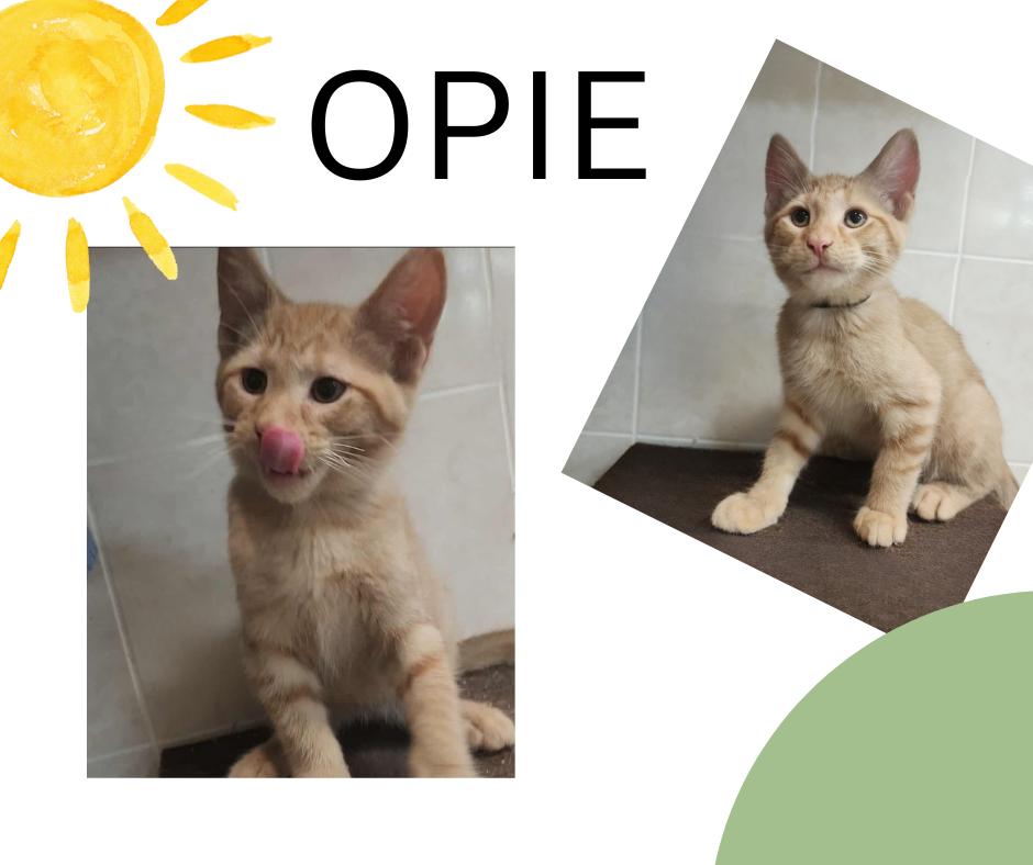 Opie