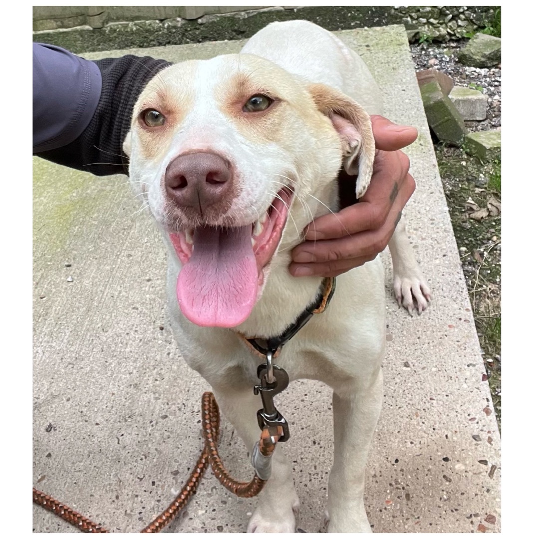 Ella — thumbnail 4