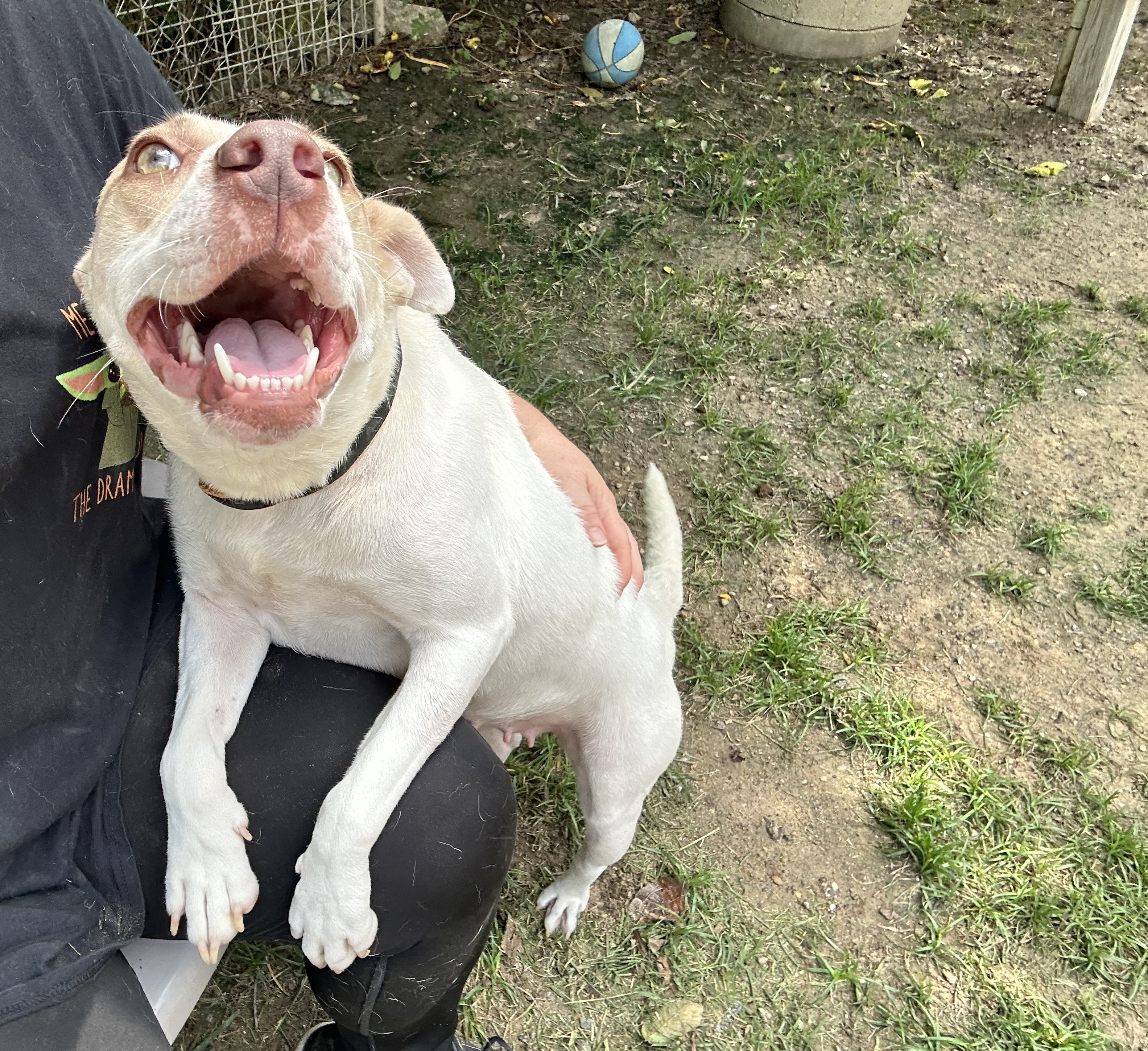 Ella — thumbnail 7