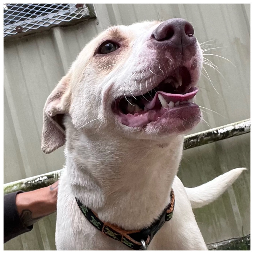 Ella — thumbnail 10