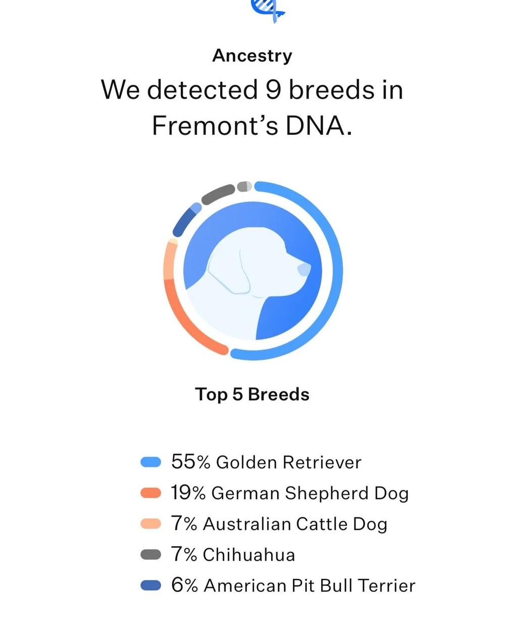 Enlarge The Bridges Litter, a ADOPTABLE mixed breed in Portland, OR image 2/6