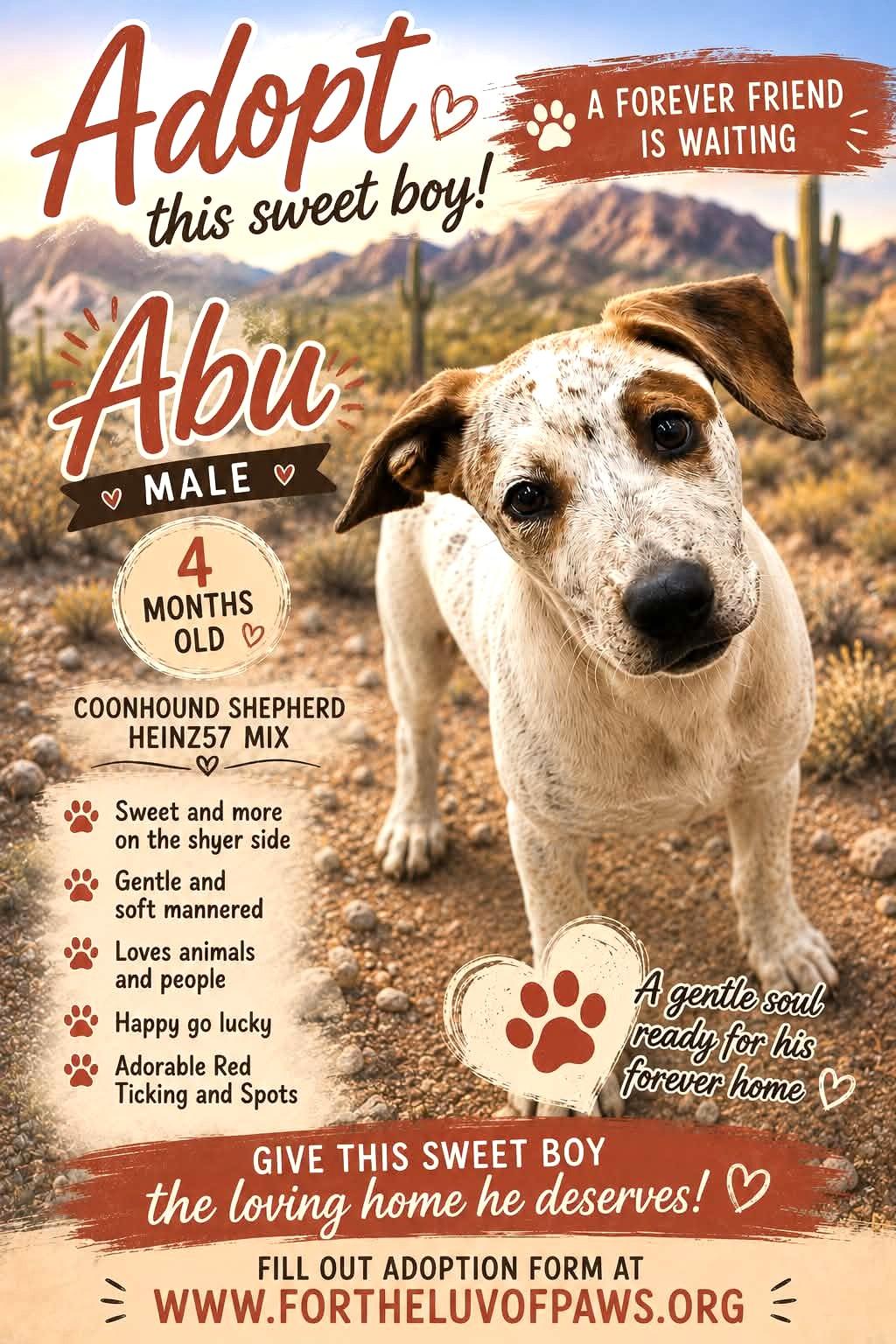 Abu, Adopted, Puppy Male Coonhound.