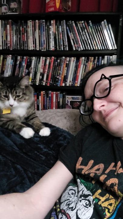 Enlarge Phoebe, a ADOPTABLE Domestic Medium Hair in Portland, OR video 4/6