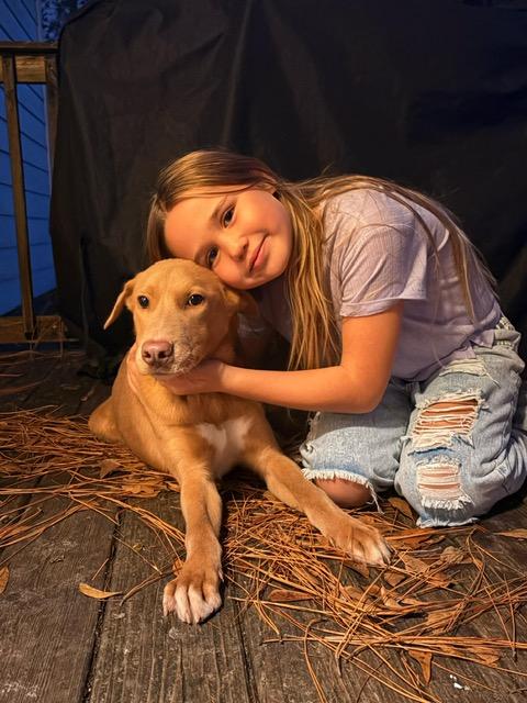 Enlarge Micah, a ADOPTABLE mixed breed in Manhasset, NY image 2/6