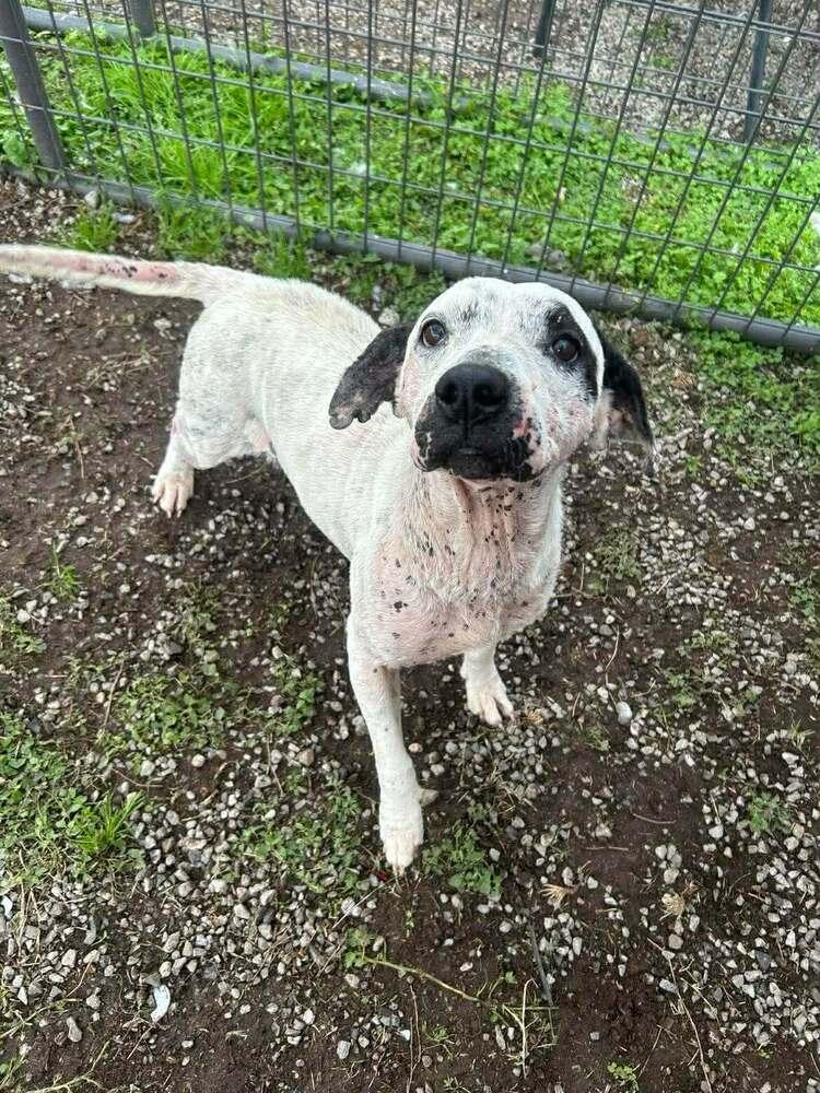 Lisa — thumbnail 2