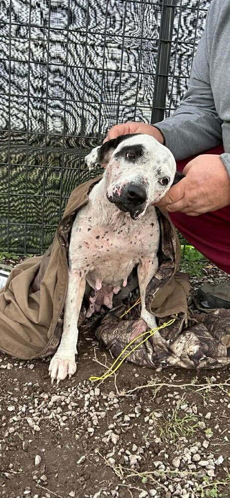 Lisa — thumbnail 4