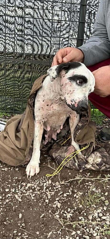 Lisa — thumbnail 5