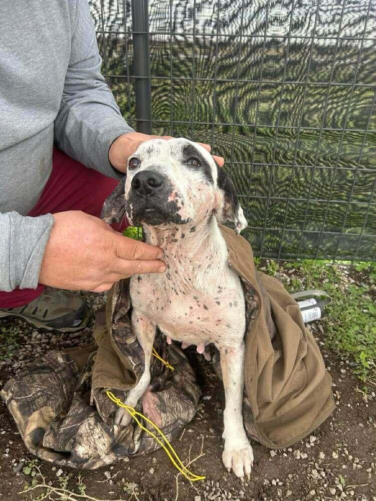 Lisa — thumbnail 6