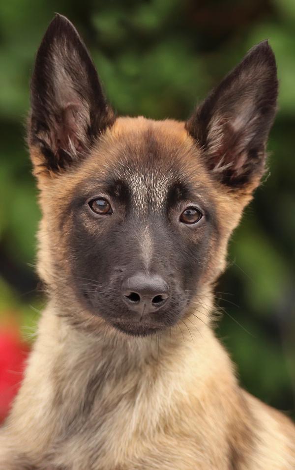 *Valentina von Beckum