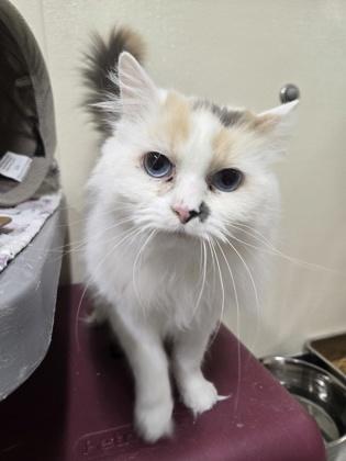 Kelly Of thumbnail 2