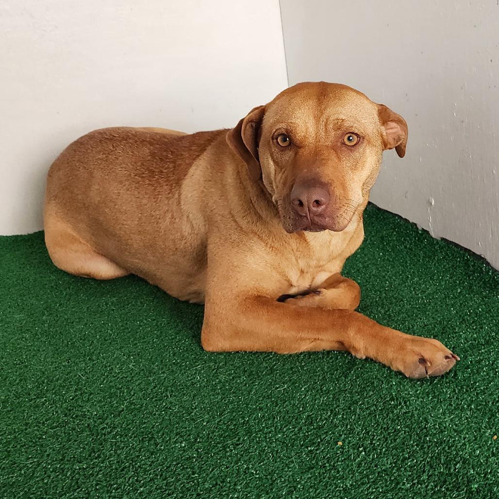 Marsha — thumbnail 2