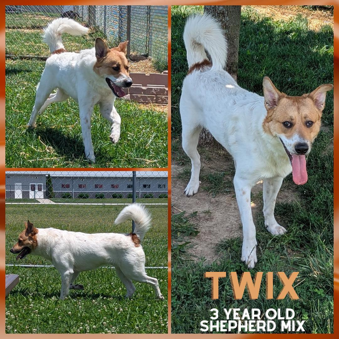 Twix