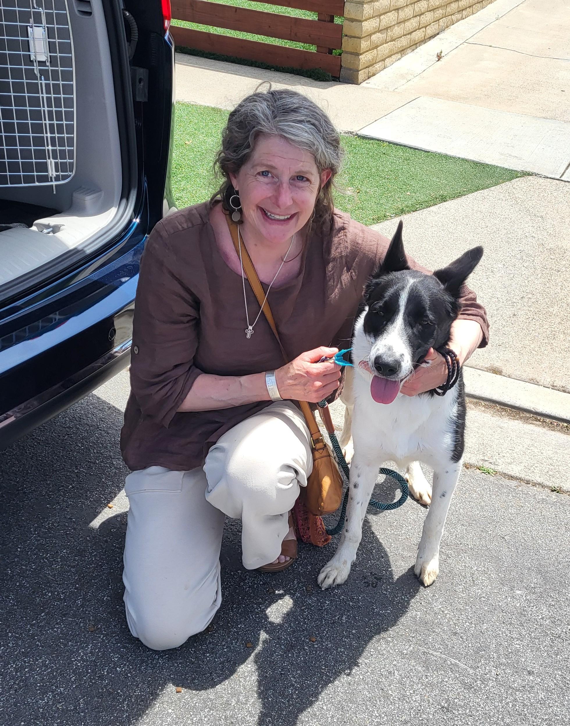 Enlarge Princess ADOPTED, a Adopted mixed breed in Newport Beach, CA image 1/3