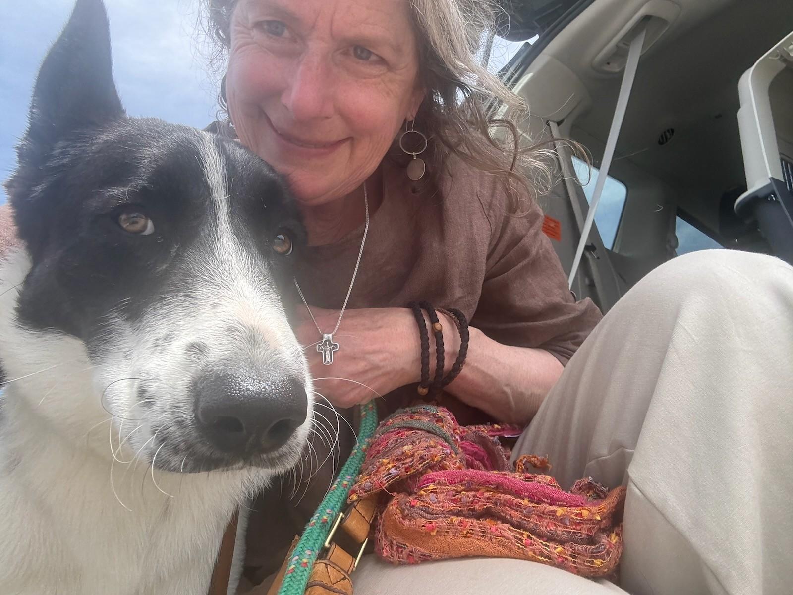 Enlarge Princess ADOPTED, a Adopted mixed breed in Newport Beach, CA image 2/3